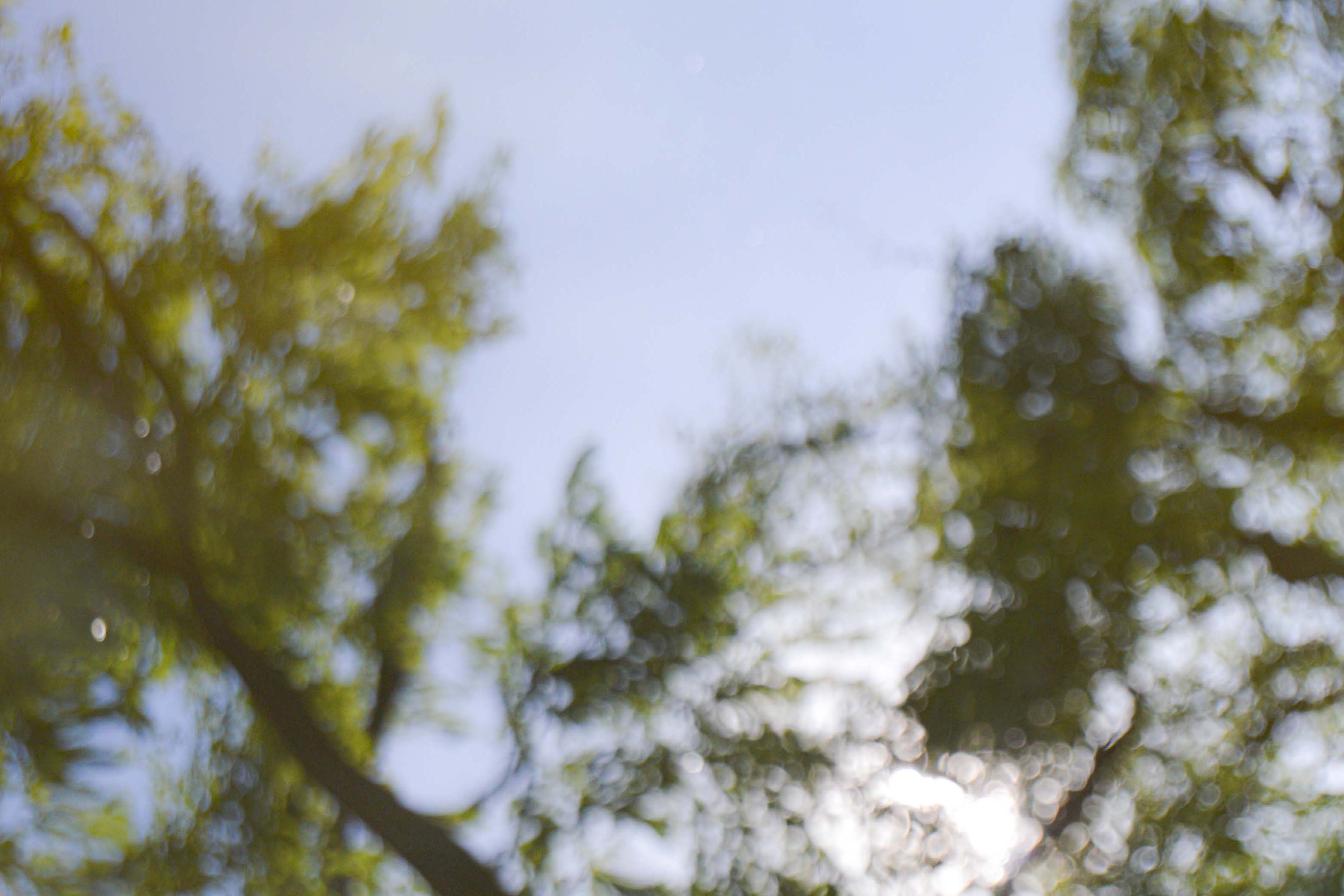 in a glimpse of an eye