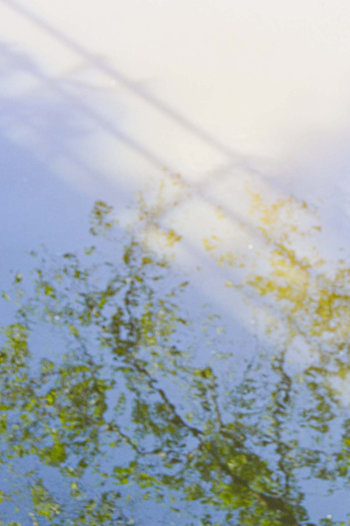 in a glimpse of an eye