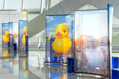 rubber duck's adventure